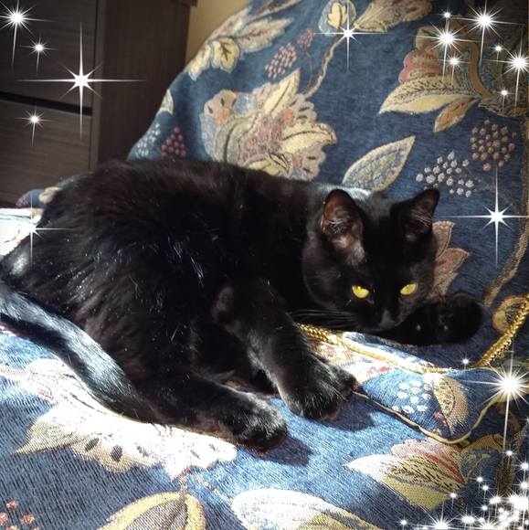 Meet your Posher, Karen - Picture 1 of 1